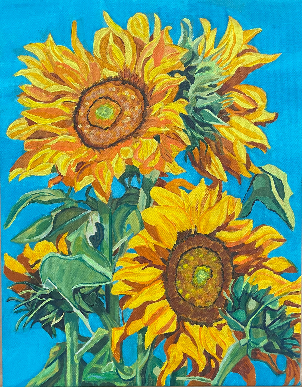 Sunflowers